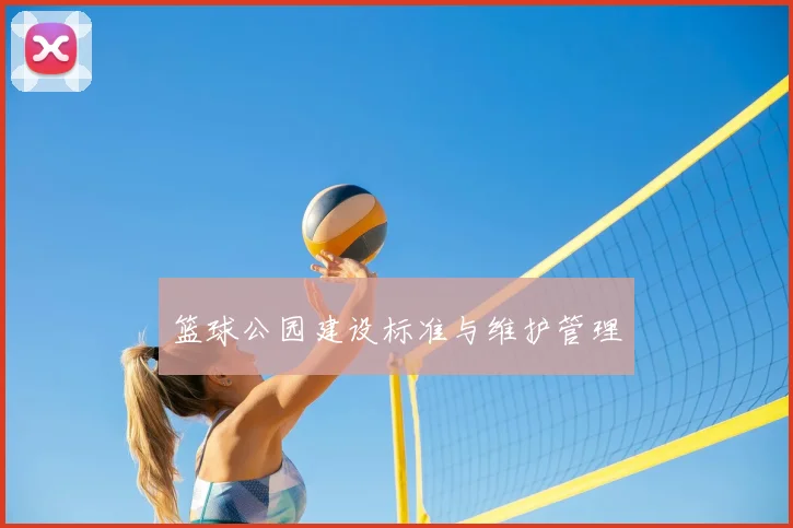 篮球公园建设标准与维护管理
