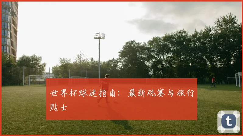世界杯球迷指南：最新观赛与旅行贴士