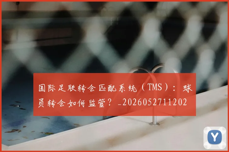 国际足联转会匹配系统(TMS):球员转会如何监管?_20260527112023