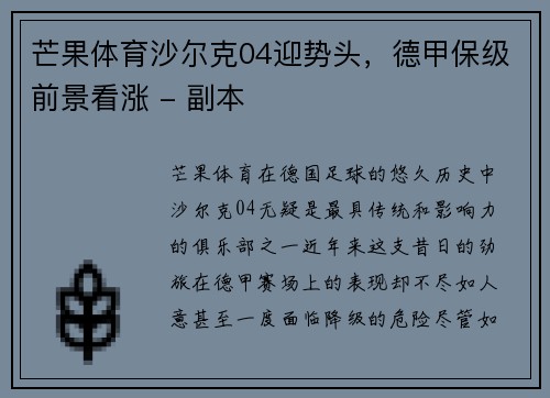 芒果体育沙尔克04迎势头，德甲保级前景看涨 - 副本