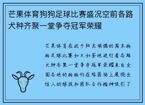 芒果体育狗狗足球比赛盛况空前各路犬种齐聚一堂争夺冠军荣耀
